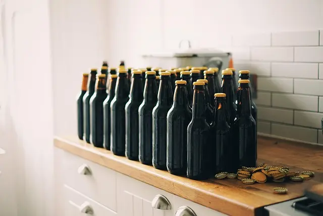 Guide d'achat : réchauffeurs de nourriture intelligents